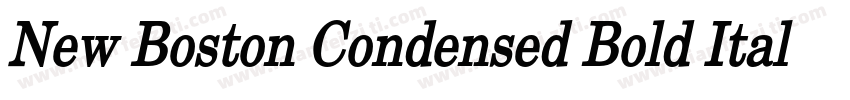 New Boston Condensed Bold Italic字体转换